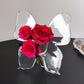 🔥🎁Nyhet 50 % RABATT🔥 🦋 Genomskinlig fjärilsvas – kristallklar plast, stabil bas. Perfekt för blommor, bordsdekorationer och presenter! ✨💐