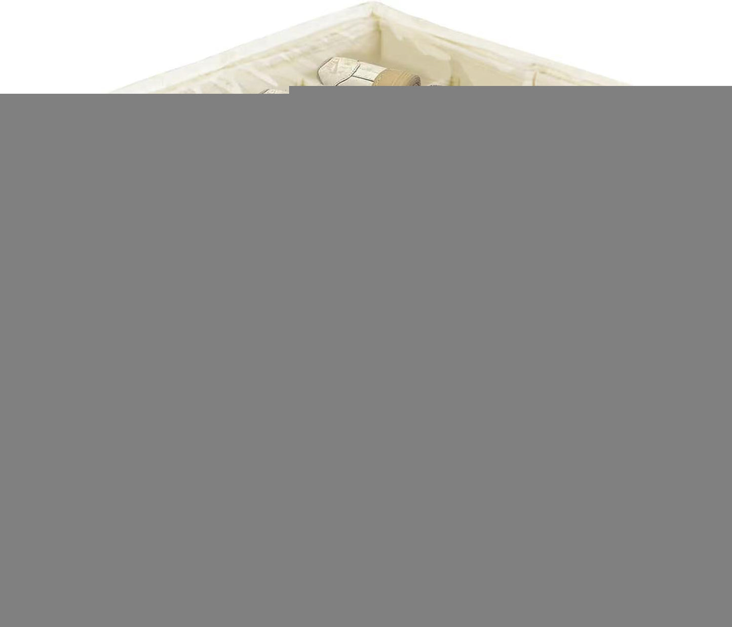 🔥Förvaringslåda för skor i tyg