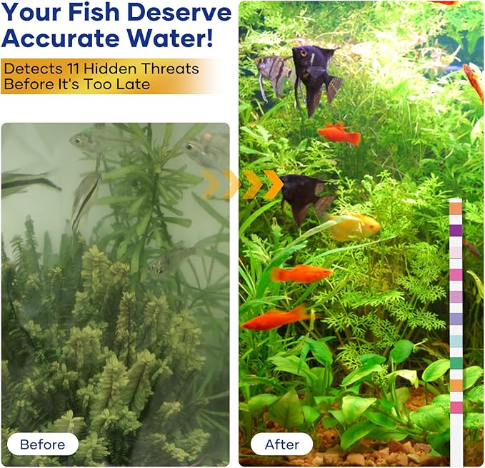 💧Testremsor för akvarium