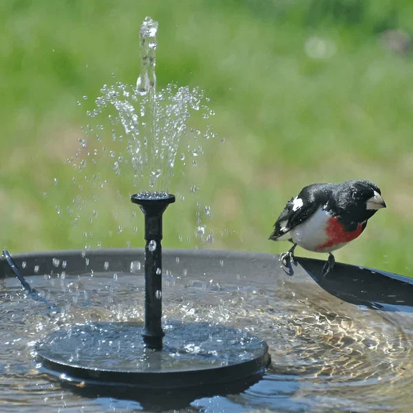 🐦 50% RABATT ☀️ | Soldriven Fågelfontän – 4 Utbytbara Munstycken & 190 l/h