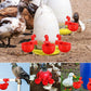 🐔automatisk dricksfontän för fjäderf