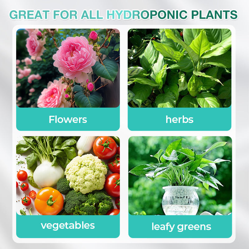 Hydroponisk näringslösning för växttillväxt🌱⚗️💚