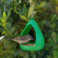 🐦🌱Modern droppformad hängande fågelmatare