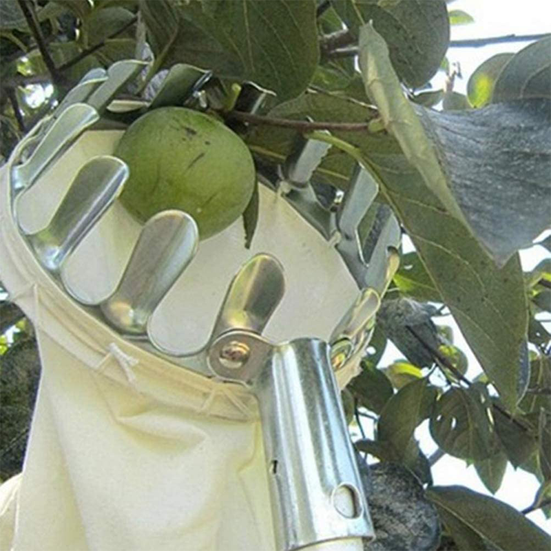 🍎 Frugtplukker med opsamlingskurv