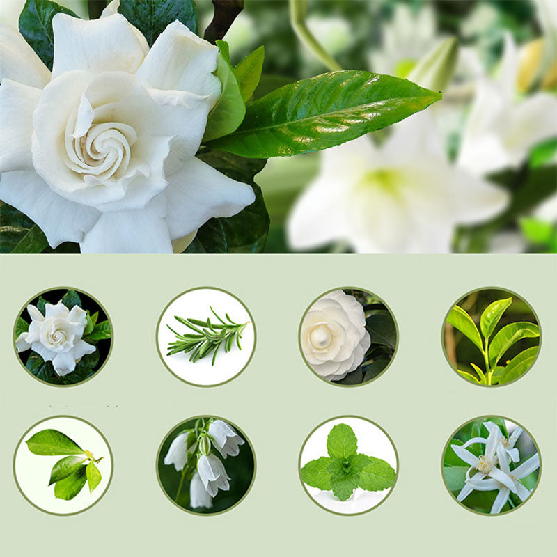 🌿 Automatisk doftspridning för ett fräschare hem – aromadiffuser som sprider behaglig doft utan ansträngning